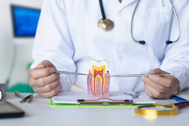 Best Emergency Treatment for Dental Infections or Abscesses in Quakertown, PA